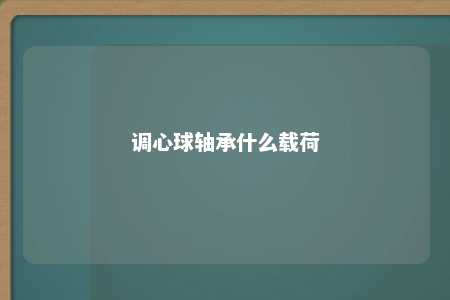 调心球轴承什么载荷 