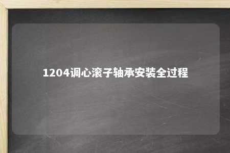 1204调心滚子轴承安装全过程 